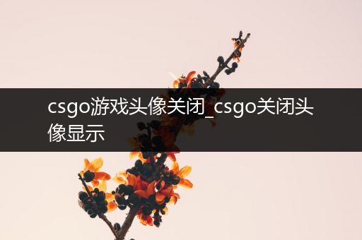 csgo游戏头像关闭_csgo关闭头像显示