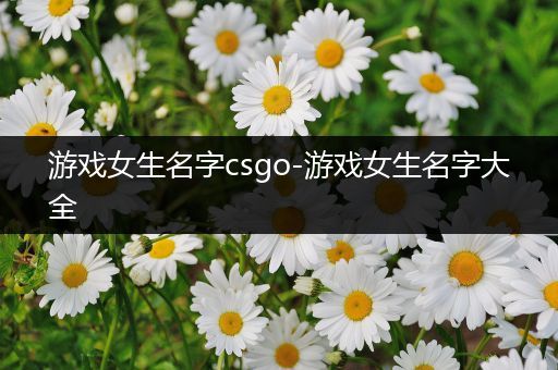 游戏女生名字csgo-游戏女生名字大全