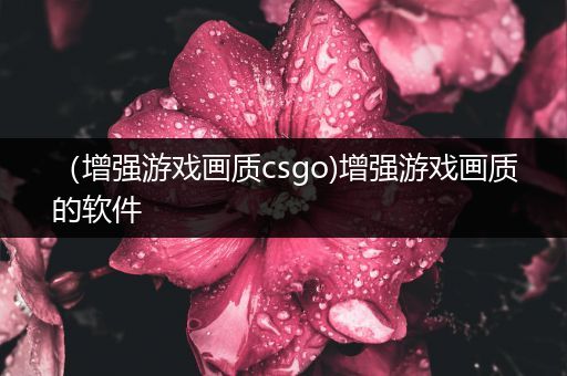 （增强游戏画质csgo)增强游戏画质的软件