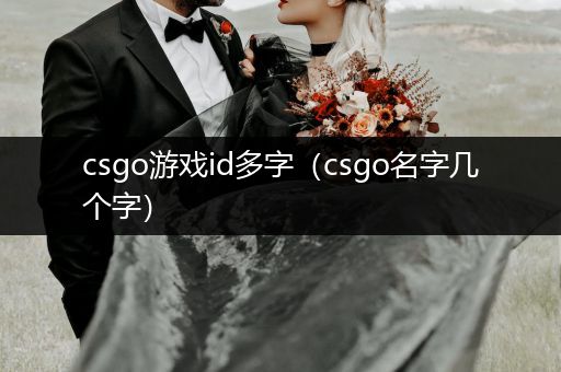 csgo游戏id多字（csgo名字几个字）