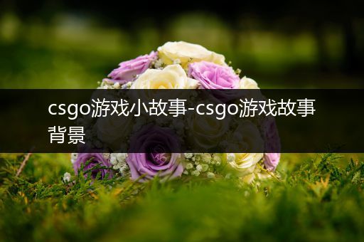 csgo游戏小故事-csgo游戏故事背景