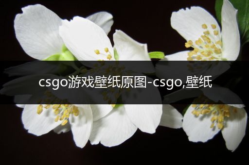 csgo游戏壁纸原图-csgo,壁纸