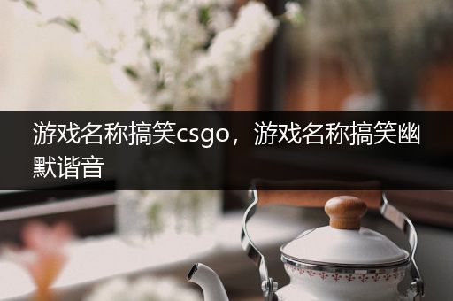 游戏名称搞笑csgo，游戏名称搞笑幽默谐音