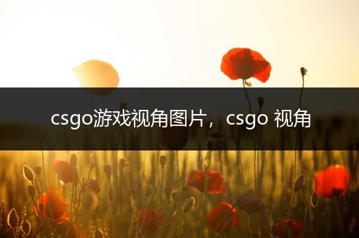 csgo游戏视角图片，csgo 视角