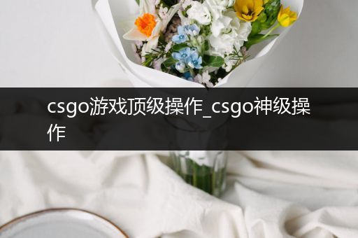 csgo游戏顶级操作_csgo神级操作