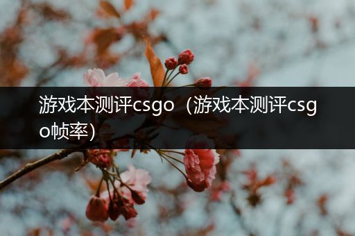 游戏本测评csgo（游戏本测评csgo帧率）