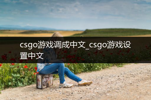 csgo游戏调成中文_csgo游戏设置中文