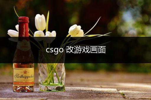 csgo 改游戏画面