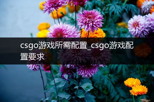 csgo游戏所需配置_csgo游戏配置要求