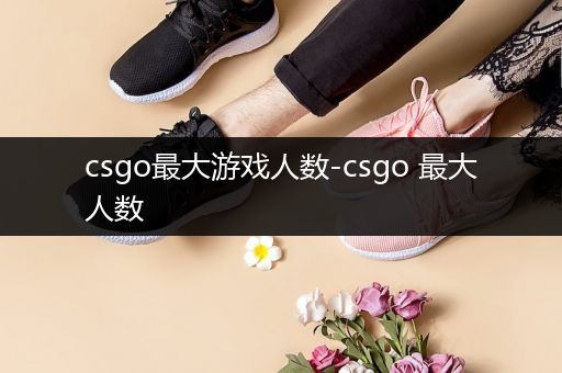 csgo最大游戏人数-csgo 最大人数