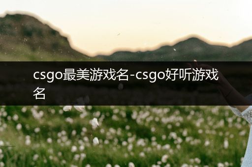 csgo最美游戏名-csgo好听游戏名