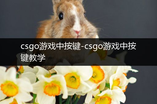 csgo游戏中按键-csgo游戏中按键教学