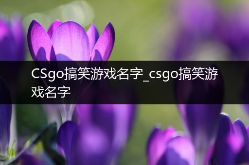 CSgo搞笑游戏名字_csgo搞笑游戏名字