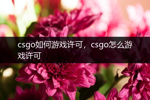 csgo如何游戏许可，csgo怎么游戏许可