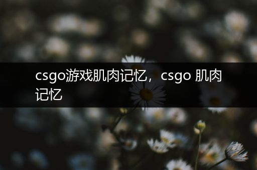 csgo游戏肌肉记忆，csgo 肌肉记忆