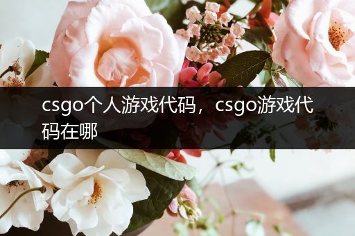 csgo个人游戏代码，csgo游戏代码在哪