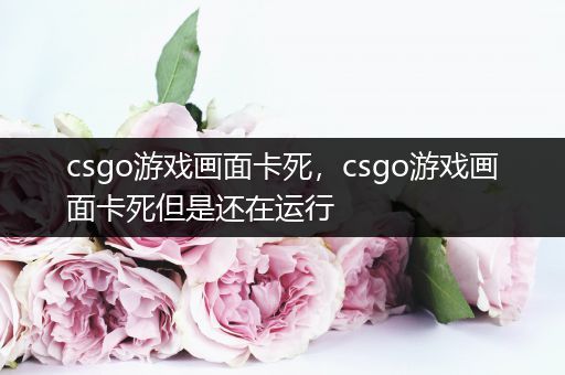 csgo游戏画面卡死，csgo游戏画面卡死但是还在运行