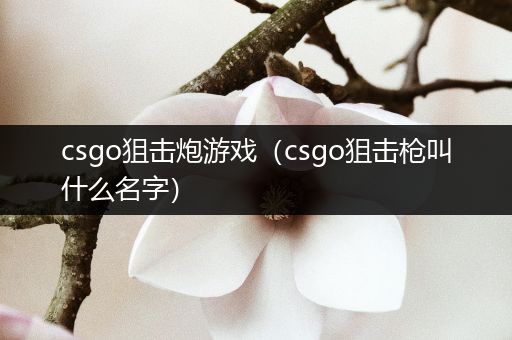 csgo狙击炮游戏（csgo狙击枪叫什么名字）
