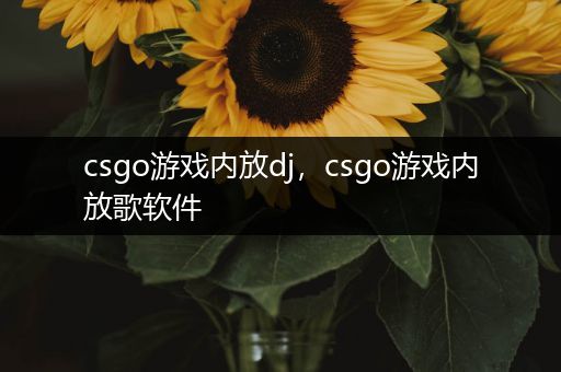 csgo游戏内放dj，csgo游戏内放歌软件