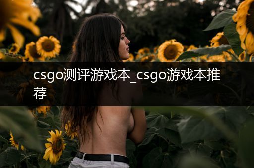 csgo测评游戏本_csgo游戏本推荐