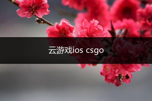 云游戏ios csgo