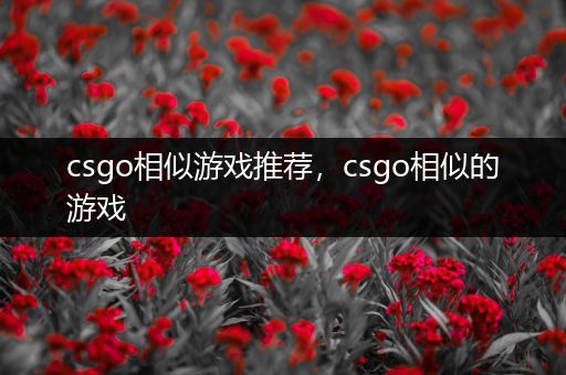 csgo相似游戏推荐，csgo相似的游戏