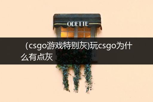 （csgo游戏特别灰)玩csgo为什么有点灰