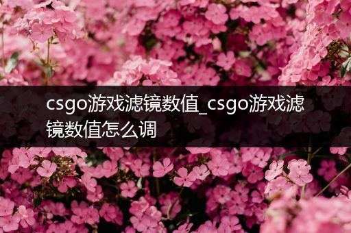 csgo游戏滤镜数值_csgo游戏滤镜数值怎么调