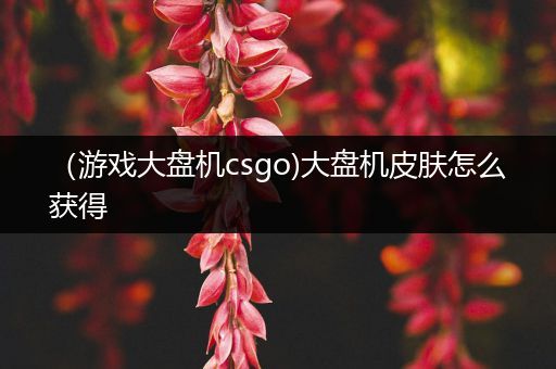 （游戏大盘机csgo)大盘机皮肤怎么获得