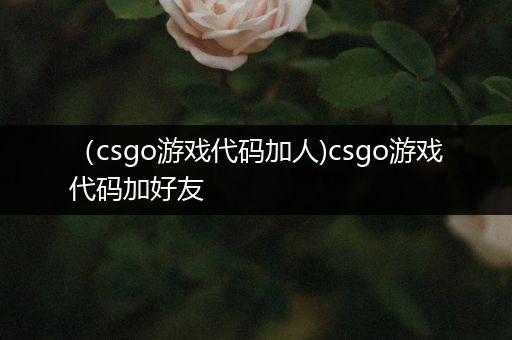 （csgo游戏代码加人)csgo游戏代码加好友