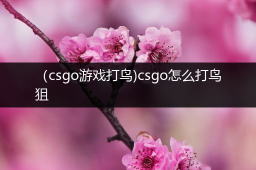 （csgo游戏打鸟)csgo怎么打鸟狙