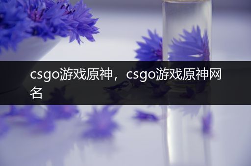 csgo游戏原神，csgo游戏原神网名