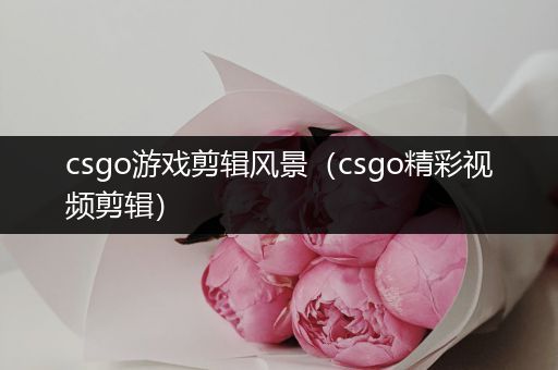 csgo游戏剪辑风景（csgo精彩视频剪辑）