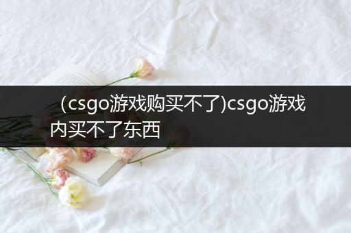 （csgo游戏购买不了)csgo游戏内买不了东西