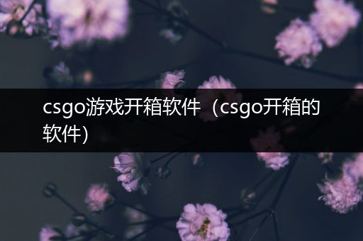 csgo游戏开箱软件（csgo开箱的软件）