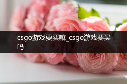 csgo游戏要买嘛_csgo游戏要买吗