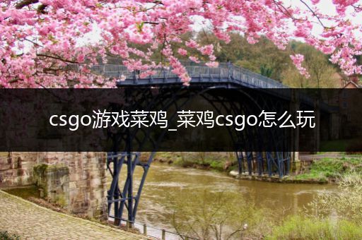 csgo游戏菜鸡_菜鸡csgo怎么玩