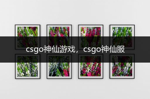 csgo神仙游戏，csgo神仙服