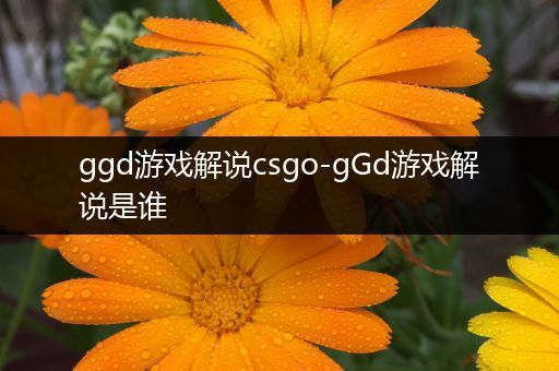 ggd游戏解说csgo-gGd游戏解说是谁