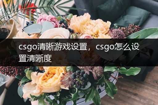 csgo清晰游戏设置，csgo怎么设置清晰度