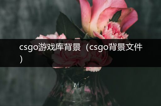 csgo游戏库背景（csgo背景文件）