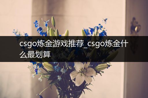 csgo炼金游戏推荐_csgo炼金什么最划算