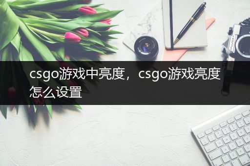 csgo游戏中亮度，csgo游戏亮度怎么设置