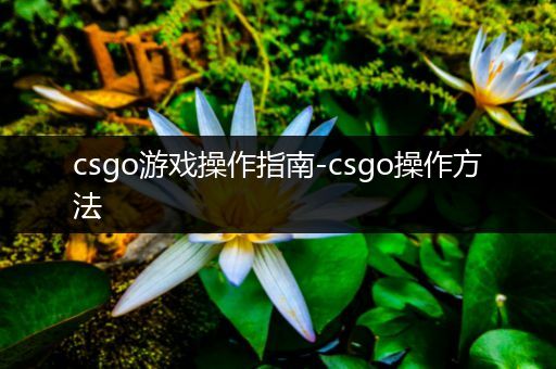 csgo游戏操作指南-csgo操作方法