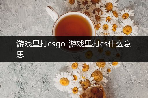 游戏里打csgo-游戏里打cs什么意思