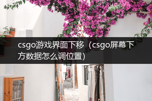 csgo游戏界面下移（csgo屏幕下方数据怎么调位置）