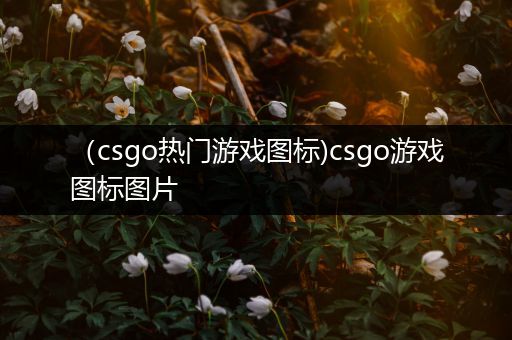 （csgo热门游戏图标)csgo游戏图标图片