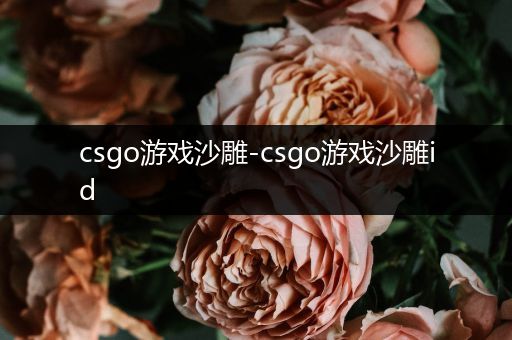 csgo游戏沙雕-csgo游戏沙雕id