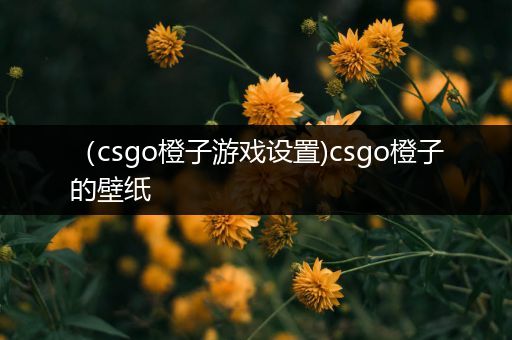 （csgo橙子游戏设置)csgo橙子的壁纸