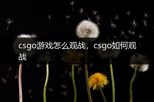 csgo游戏怎么观战，csgo如何观战